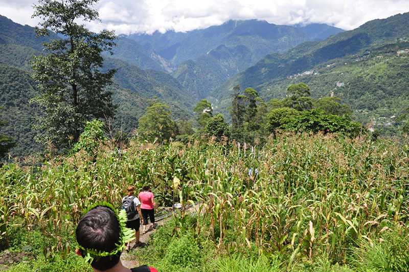 Hikes Upper Dzongu